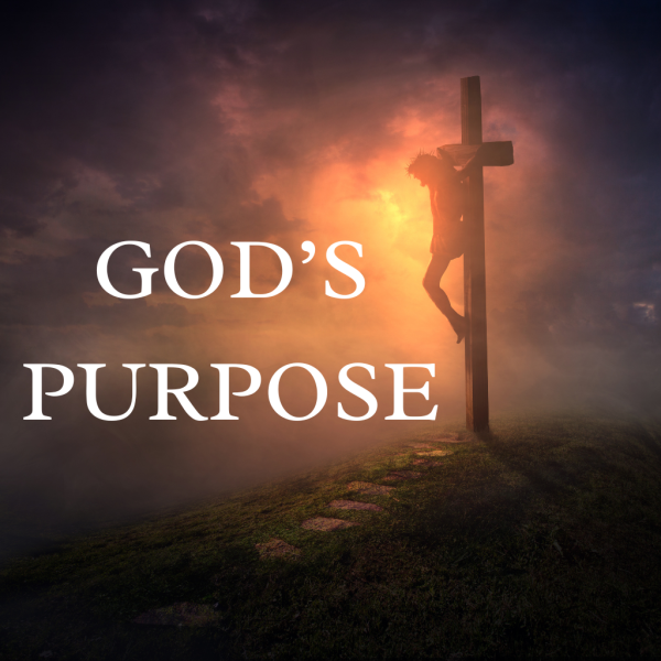 Gods Purpose 9.21.2025