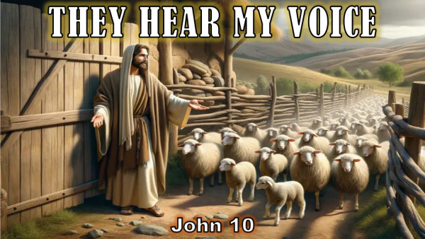 They Hear My Voice