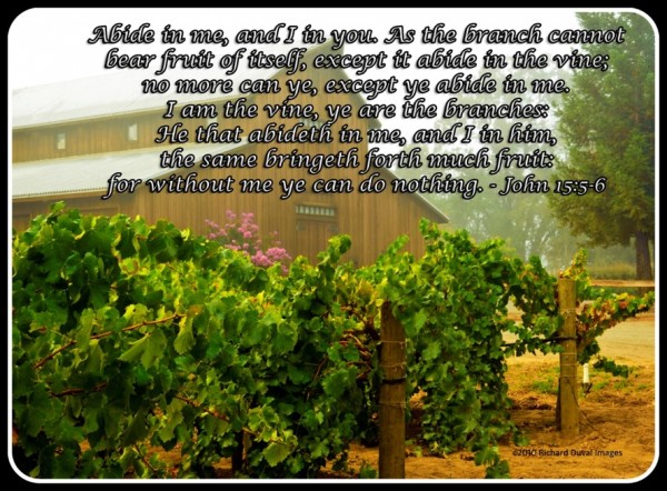 John 16