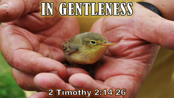 In Gentleness