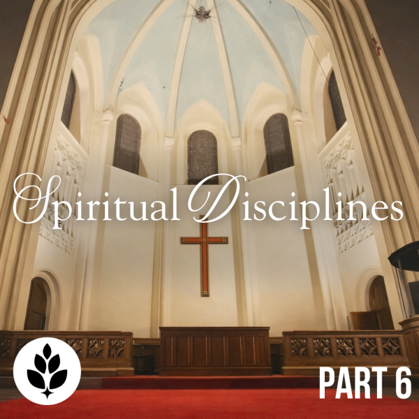 The Secret to a Meaningful Life | Spiritual Disciplines