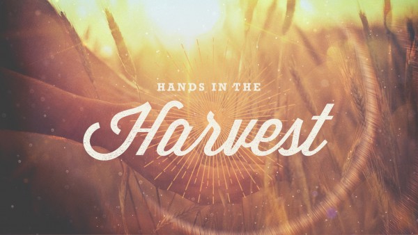 Hands in the Harvest