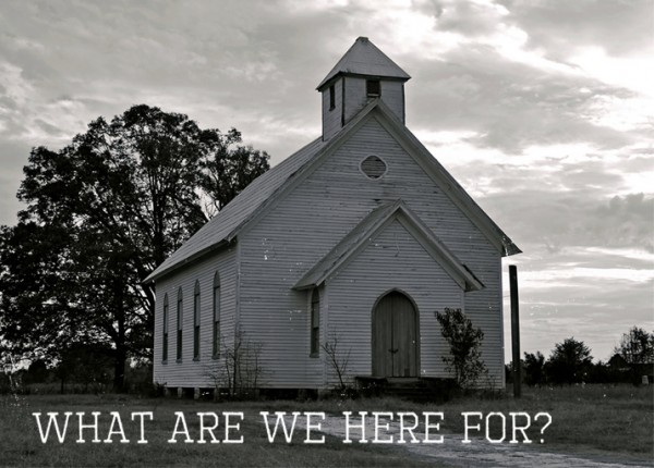 What Are We Here For ?