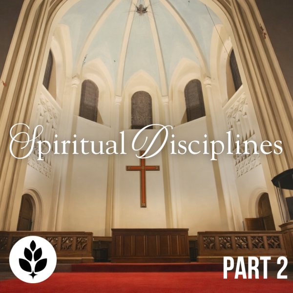 Why Your Prayer Life Feels Weak | Spiritual Disciplines