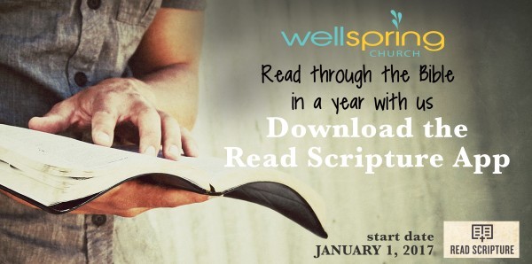 The Year of the Bible week 2