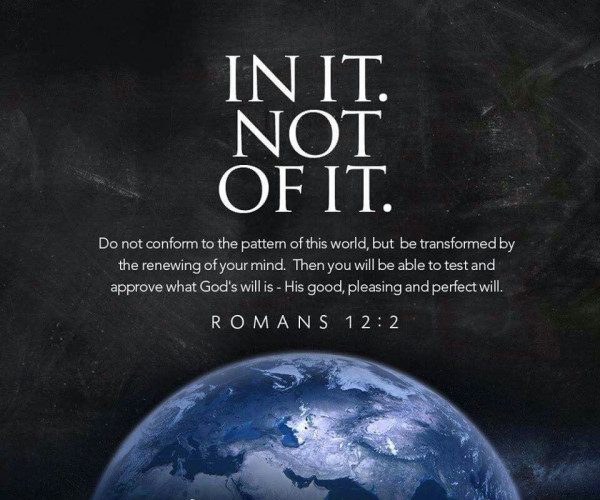 We Live Like Jesus In This World