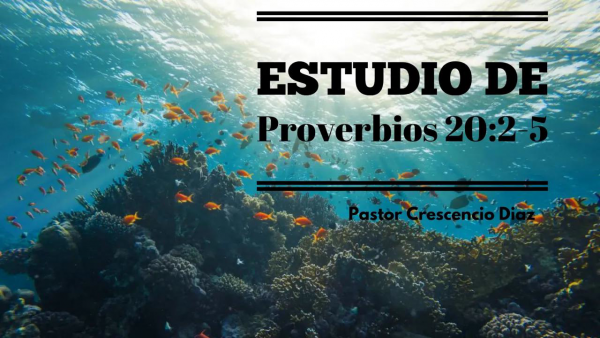 Estudio de Proverbios 20: 3-5