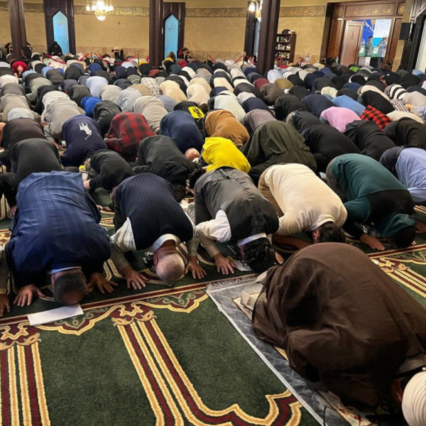 The Religion of Peace?