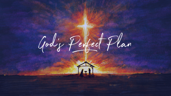 God's Perfect Plan