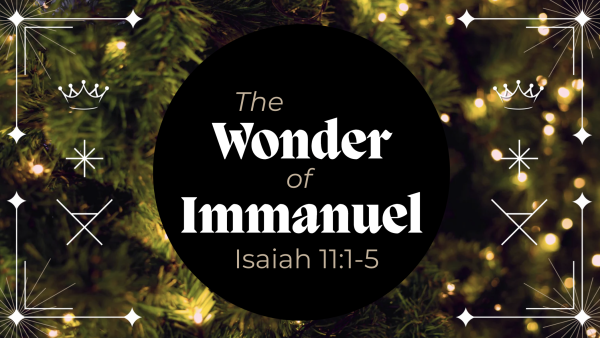 The Wonder of Immanuel