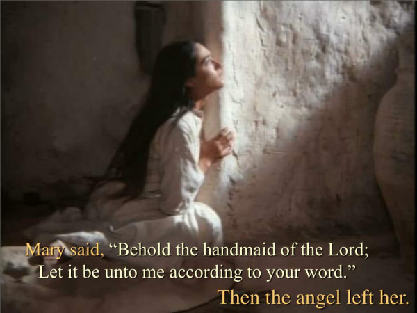 A Tender Heart Toward God