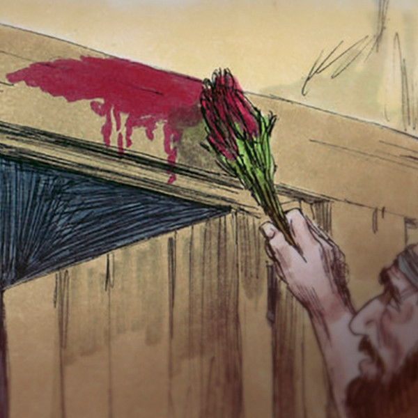 Lamb's Blood