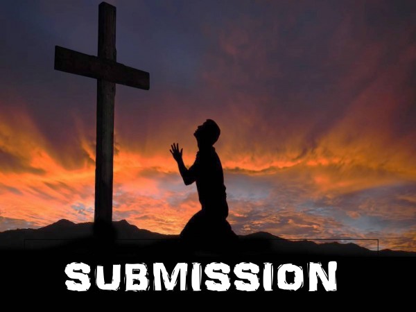 Submission