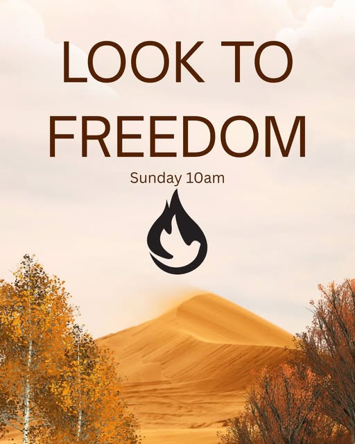 Look To Freedom