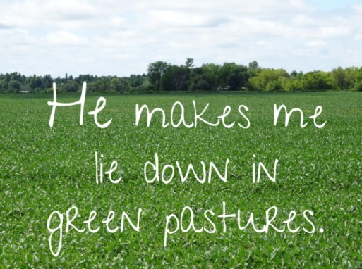 HE MAKES ME LIE DOWN IN GREEN PASTURES 