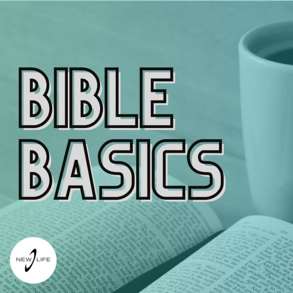 Bible Basics: Answers to 7 Common Questions about the Bible.