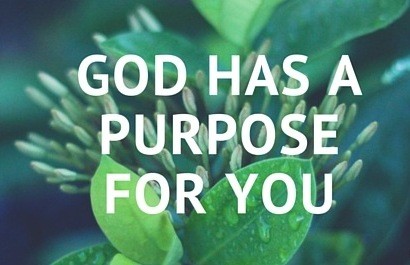 God has a purpose for you
