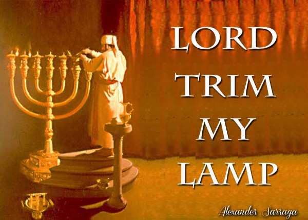 Trim my lamp mp3 - 