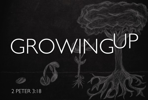 GROWING UP part 3 (continued) - Grow Your Faith