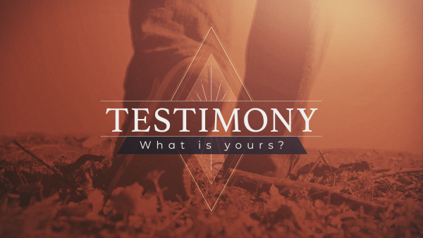 What is your testimony