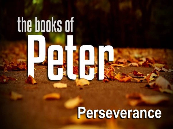 Perseverance