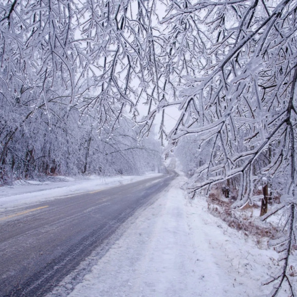 After the Ice Storm…