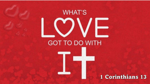 What's Love Got to Do With It?