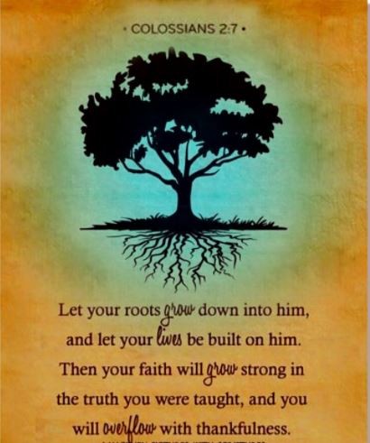 Are You Rooted? 