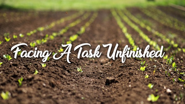 Facing  A Task Unfinished