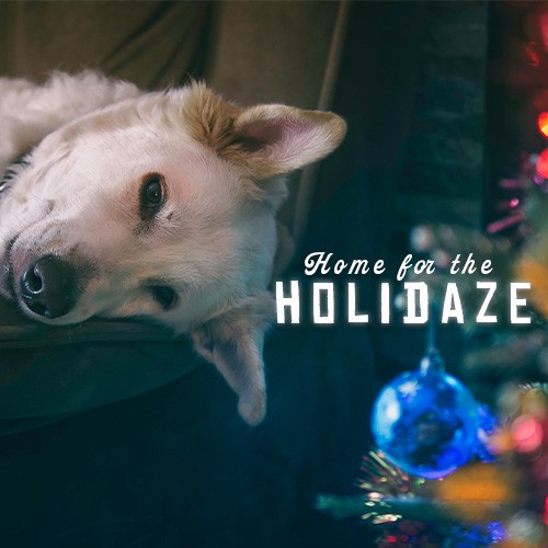 BottomLine: Home for the Holidaze "Joy & Celebration"