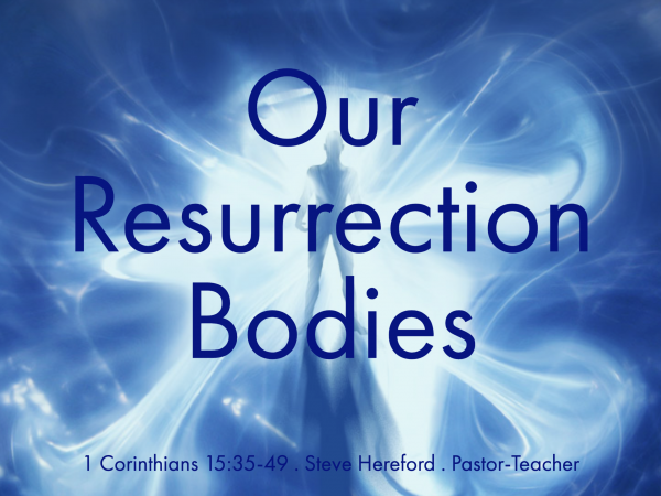 Our Resurrection Bodies