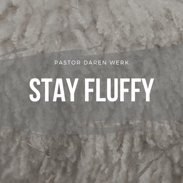 Stay Fluffy- March 24th, 2019