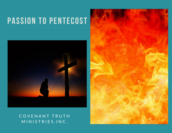 Passion To Pentecost - Lesson 3 - Purpose