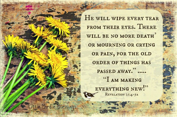 Give Yourself Grace and Time