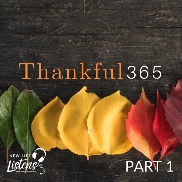  How to be thankful for the good AND bad | Thankful 365
