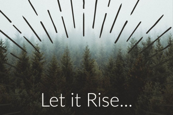 Mark 8:14-26 - Let it Rise