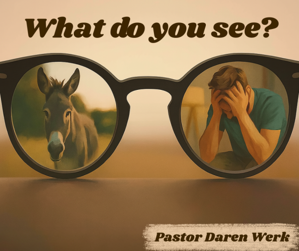 What do you see?