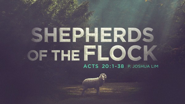 Shepherds of the Flock | Acts 20:1-38