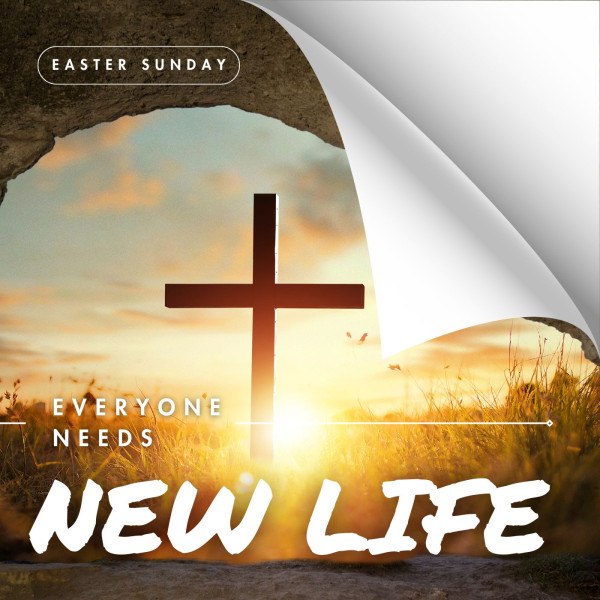 "Everyone needs new life"- April 20, 2025