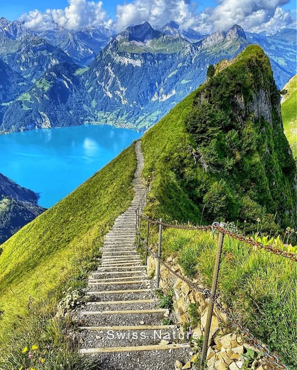 The Lord Directs My Steps