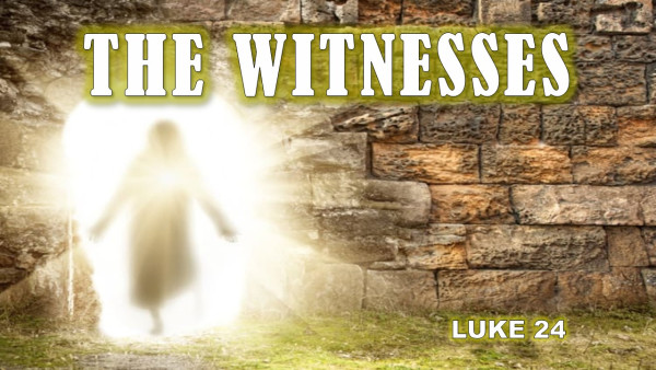 The Witnesses