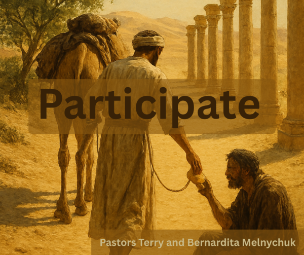 Participate