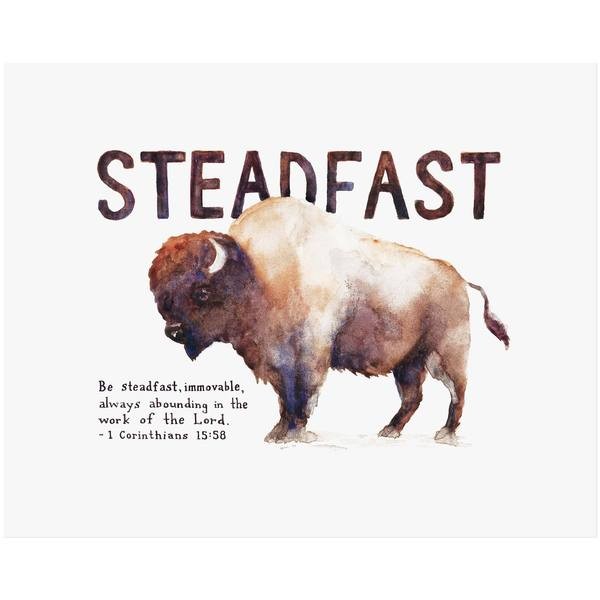 steadfast