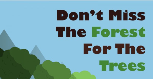 Do Not Miss The Forest For The Trees - Part 3 - Get Down From The Tree