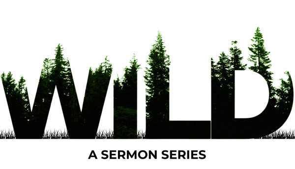 Claremont UCC - Pastor Jen's Sermon: Wild: The Seeds Just Grow
