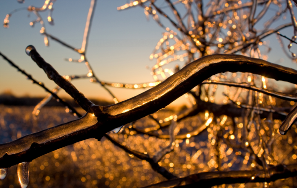 Epiphany for the New Year