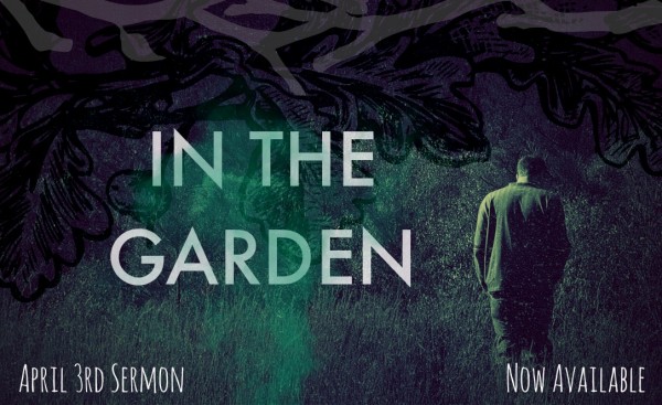 In the Garden - April 3rd