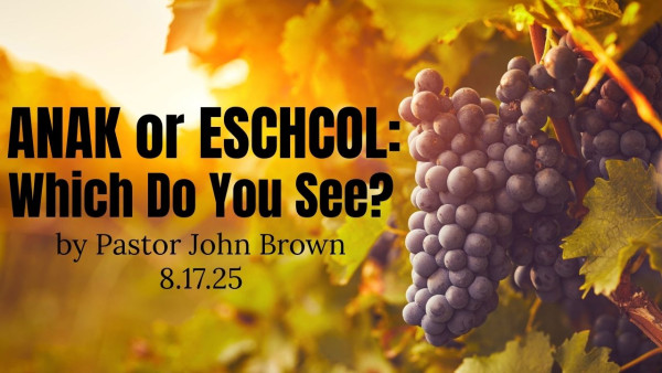 Anak or Eschol:  Which Do You See?
