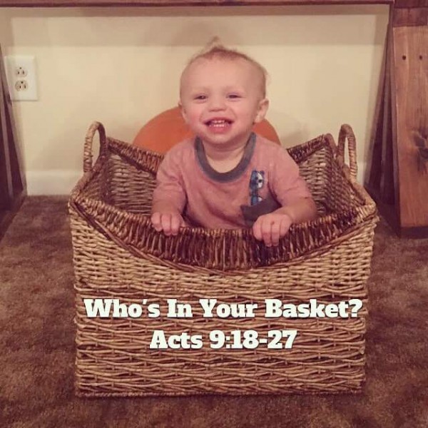 WHo's in Your Basket?