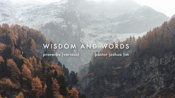Wisdom and Words